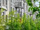 3 rooms apartment for sell Vilniuje, Senamiestyje, Gedimino pr. (14 picture)