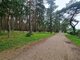 Parduodamas 1 kambario butas Palangoje, Kontininkų g. (13 nuotrauka)