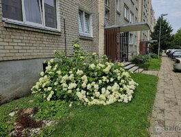 2 kambarių butas Klaipėdoje, Debrecene, Debreceno g.