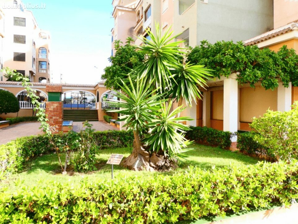 Parduodamas 3 kambarių butas Ispanijoje, Torrevieja