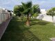 Parduodamas 3 kambarių butas Ispanijoje, Torrevieja (17 nuotrauka)