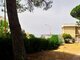 2 rooms apartment for sell Italy, San Nicola Arcella (3 picture)