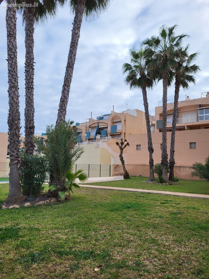 2 kambarių buto nuoma Ispanijoje, La Mata