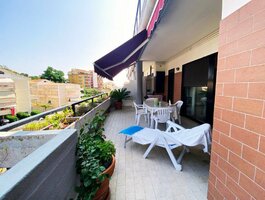 3 room apartment Italy, Belvedere Marittimo