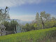 3 rooms apartment for sell Italy, Garda (1 picture)