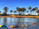 Parduodamas 2 kambarių butas Ispanijoje, Torrevieja (8 nuotrauka)