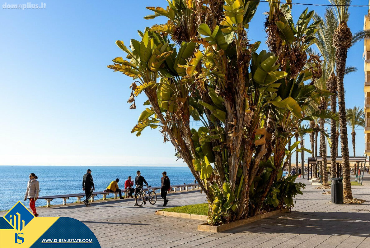 Parduodamas 1 kambario butas Ispanijoje, Torrevieja