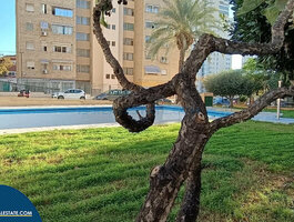 4 room apartment Spain, Benidorm
