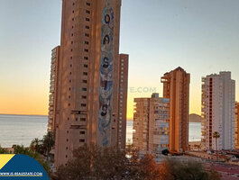 1 room apartment Spain, Benidorm