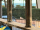 1 room apartment for sell Spain, Torrevieja (22 picture)