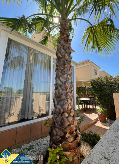 Продается 3 комнатная квартира Испания, Orihuela Costa