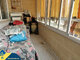 4 rooms apartment for sell Spain, Torrevieja (2 picture)