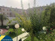 Parduodamas 3 kambarių butas Ispanijoje, Torrevieja (8 nuotrauka)