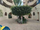 2 rooms apartment for sell Spain, Torrevieja (17 picture)