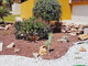 5 rooms apartment for sell Spain, Torrevieja (13 picture)