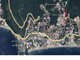 Parduodamas 1 kambario butas Serbija ir Juodkalnijoje, Budva (8 nuotrauka)