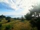 3 rooms apartment for sell Italy, Other (4 picture)