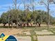 1 room apartment for sell Spain, Torrevieja (18 picture)
