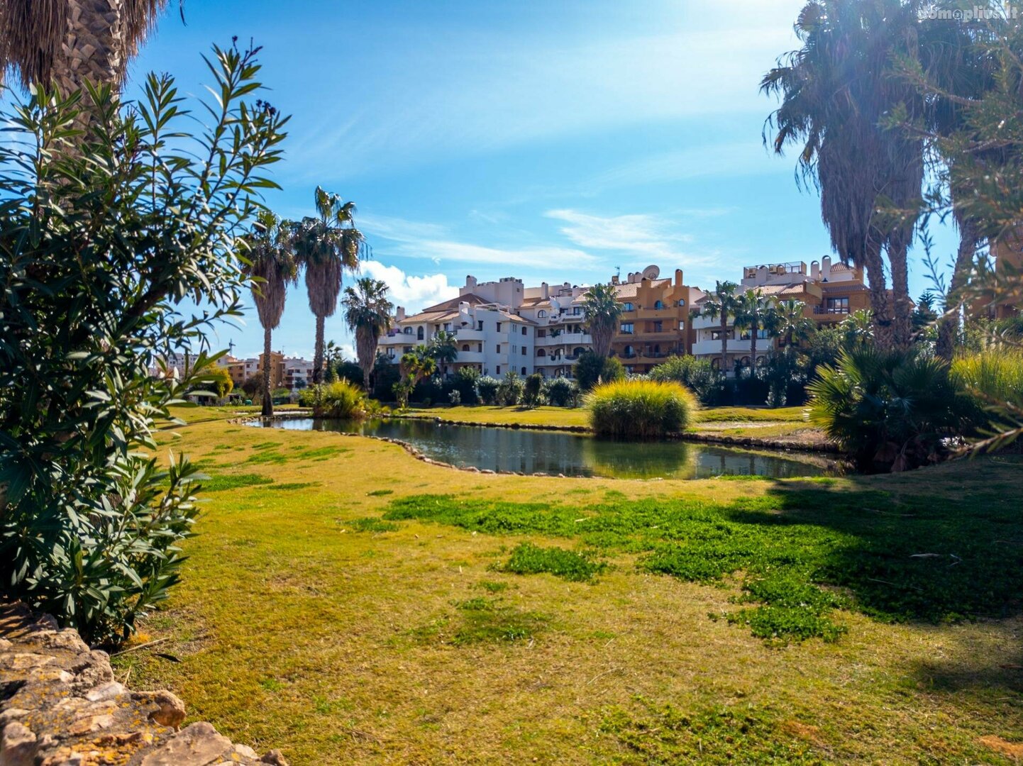 Продается 3 комнатная квартира Испания, Torrevieja