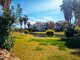 3 rooms apartment for sell Spain, Torrevieja (20 picture)