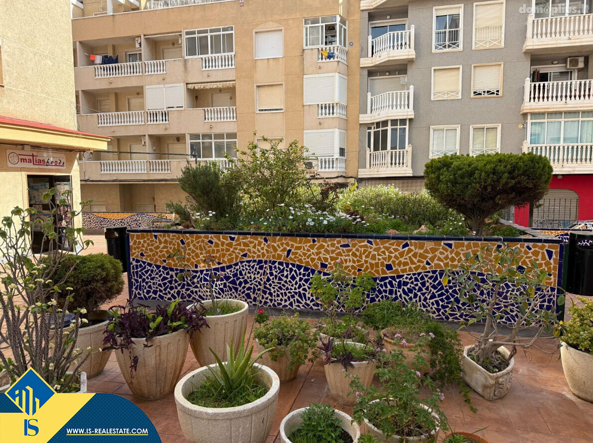 Parduodamas 1 kambario butas Ispanijoje, Torrevieja
