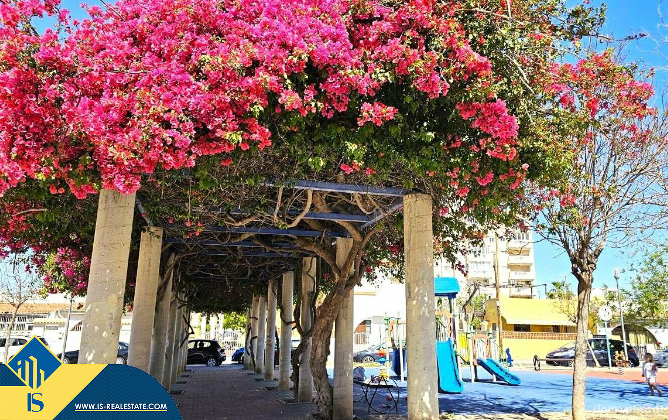 Parduodamas 3 kambarių butas Ispanijoje, Torrevieja