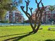 2 rooms apartment for sell Spain, Torrevieja (12 picture)