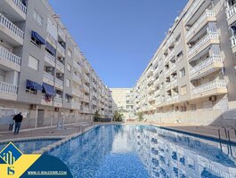 1 kambario butas Ispanijoje, Torrevieja