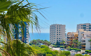 3 room apartment Spain, Torrevieja