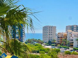 3 kambarių butas Ispanijoje, Torrevieja