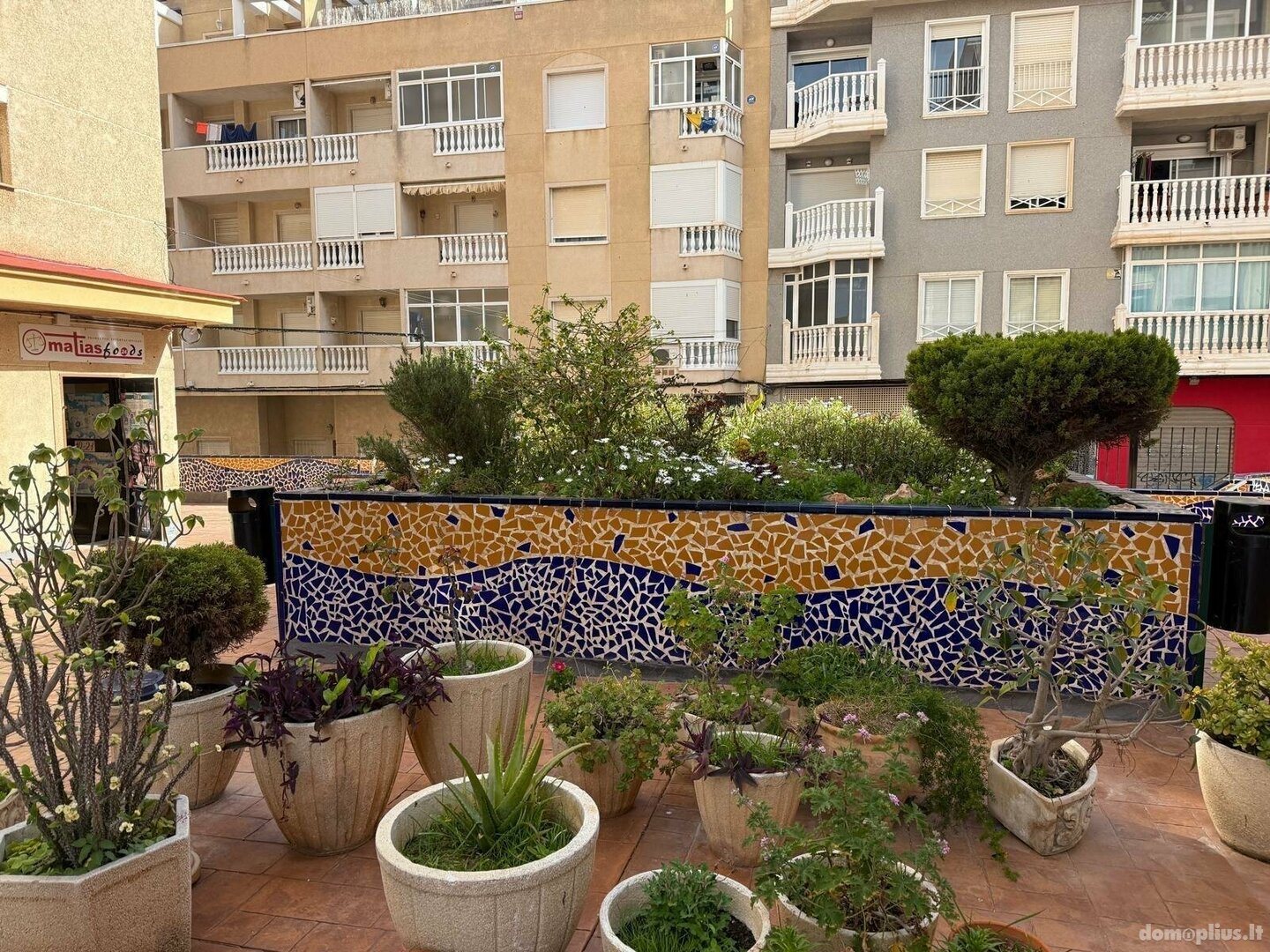 Parduodamas 1 kambario butas Ispanijoje, Torrevieja
