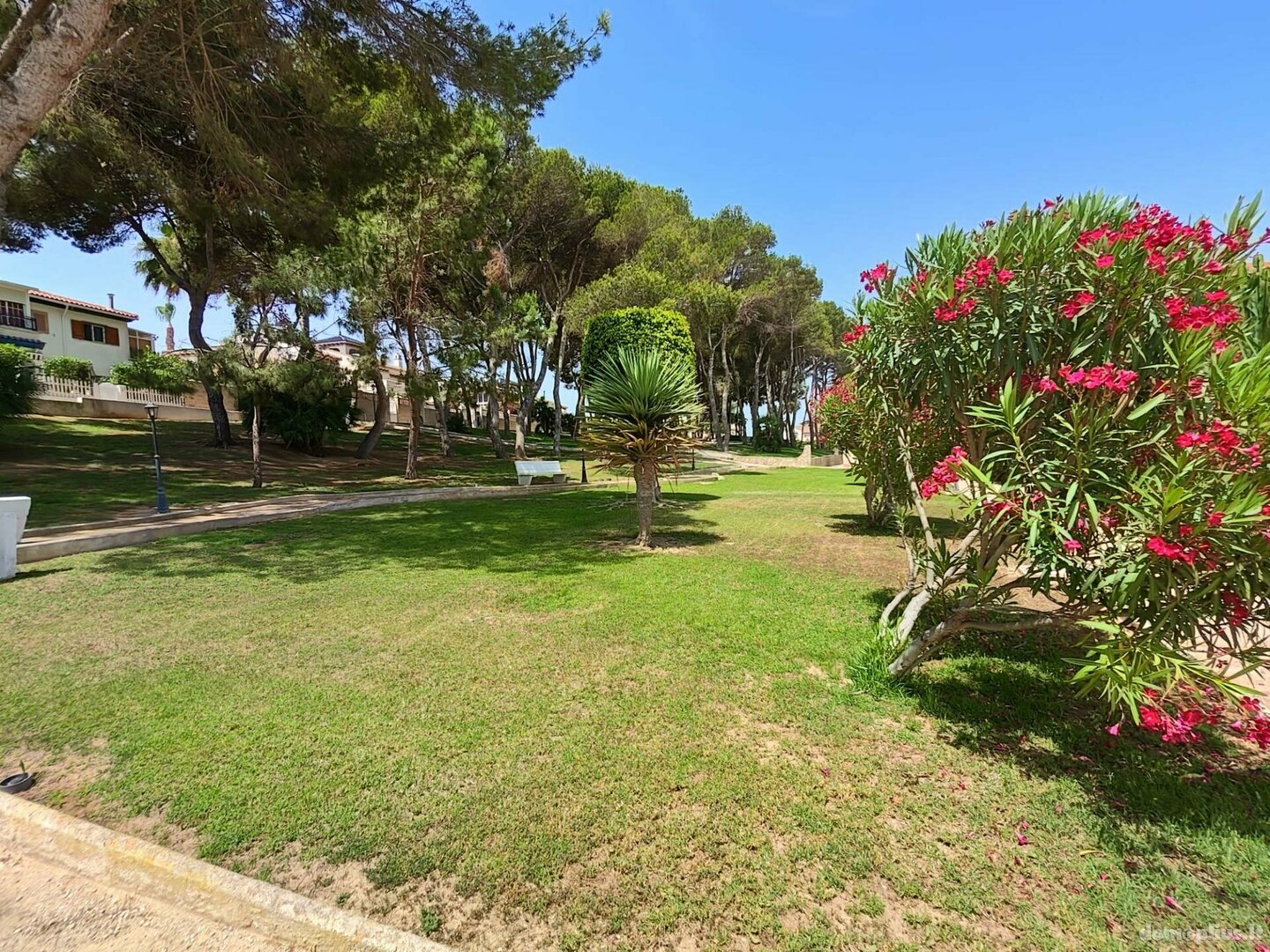 3 rooms apartment for sell Spain, Pilar de la Horadada