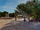 Продается 2 комнатная квартира Испания, Torrevieja (12 Фотография)