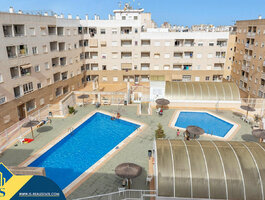 1 kambario butas Ispanijoje, Torrevieja