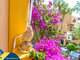 3 rooms apartment for sell Spain, Torrevieja (21 picture)
