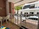 3 rooms apartment for sell Spain, Torrevieja (7 picture)