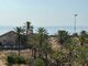 Parduodamas 2 kambarių butas Ispanijoje, Torrevieja (14 nuotrauka)