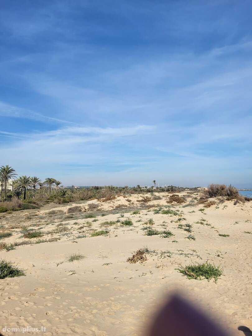 2 kambarių buto nuoma Ispanijoje, La Mata