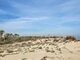Сдаю 2 комнатную квартиру Испания, La Mata (16 Фотография)