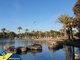 Parduodamas 3 kambarių butas Ispanijoje, Torrevieja (13 nuotrauka)