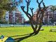 Parduodamas 1 kambario butas Ispanijoje, Torrevieja (8 nuotrauka)