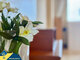 Parduodamas 1 kambario butas Ispanijoje, Torrevieja (23 nuotrauka)