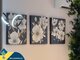 Parduodamas 3 kambarių butas Ispanijoje, Torrevieja (8 nuotrauka)