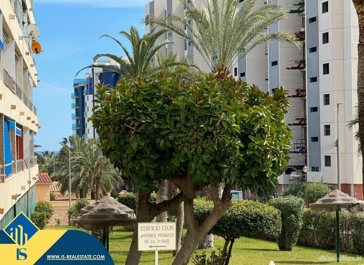 Parduodamas 2 kambarių butas Ispanijoje, Torrevieja