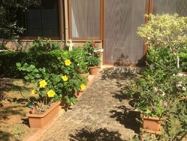 3 rooms apartment for sell Turkey, Alanya
