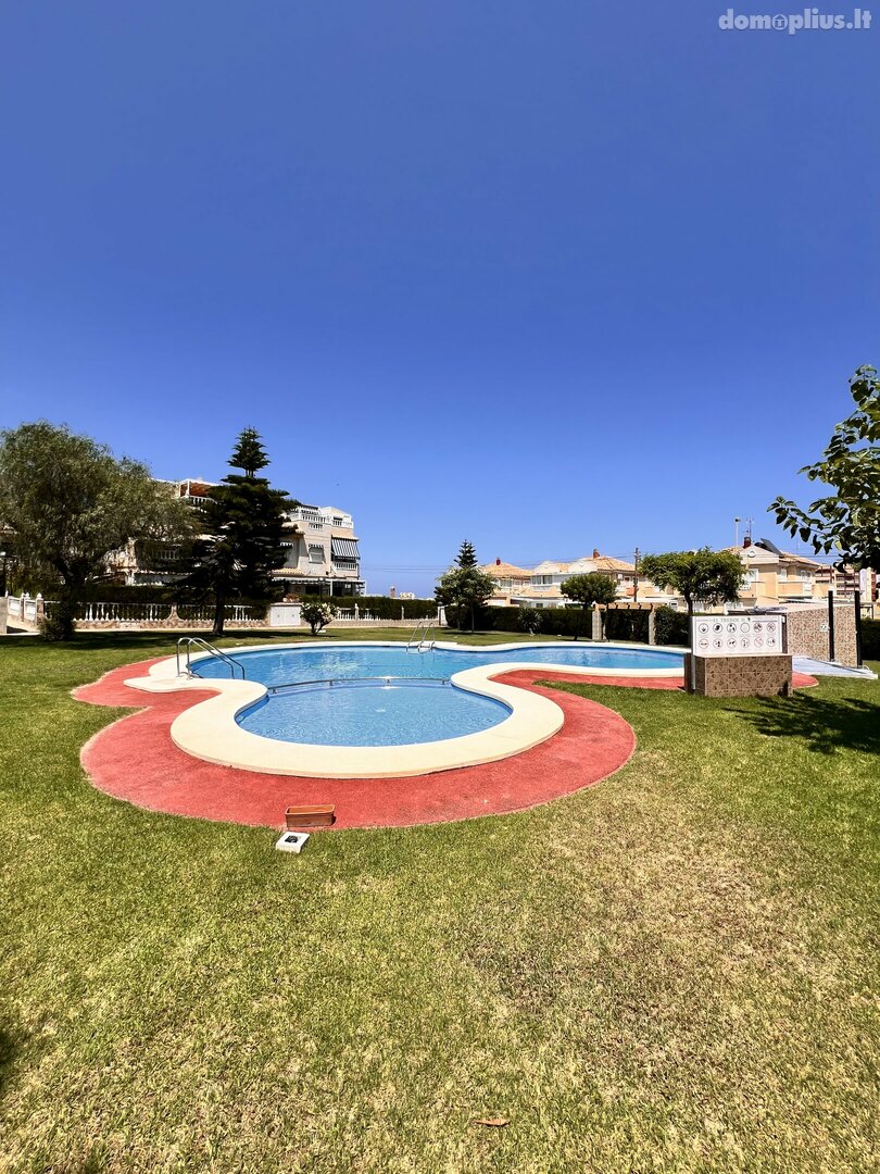 1 kambario buto nuoma Ispanijoje, Torrevieja
