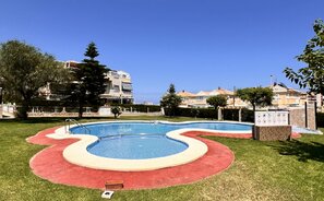1 kambario butas Ispanijoje, Torrevieja