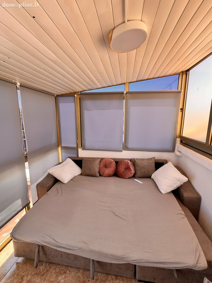 1 kambario buto nuoma Ispanijoje, Torrevieja