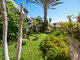 House for sell Spain, Tenerife (5 picture)