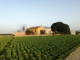 Namas Ispanijoje, Orihuela